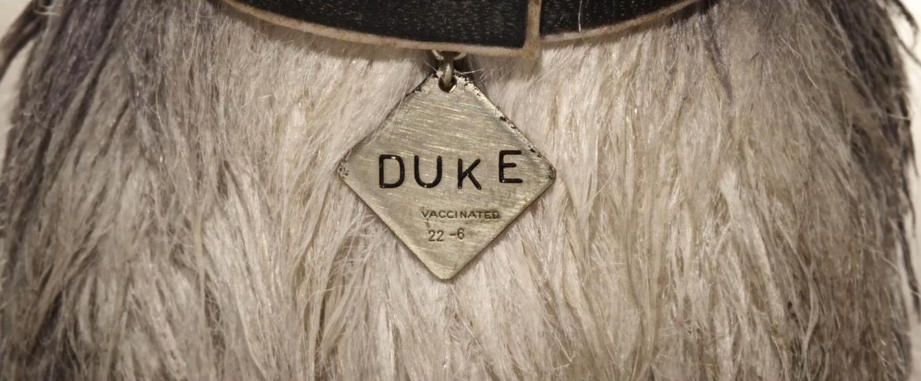 Фото - Остров собак: 1334x552 / 99.12 Кб