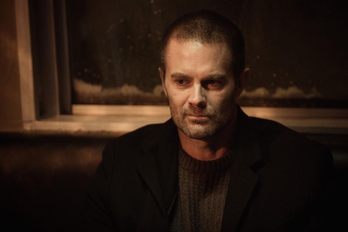 Фото - Дикий: 1200x800 / 47.59 Кб