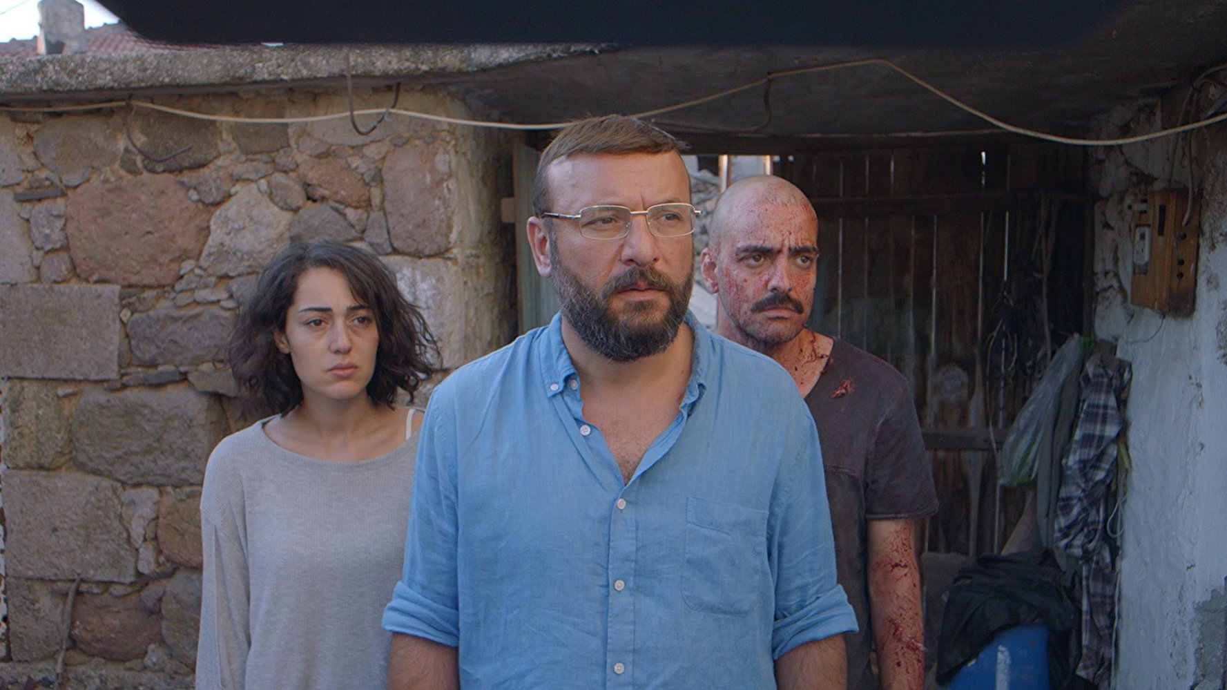 Фото - Бабочки: 1777x999 / 249.6 Кб