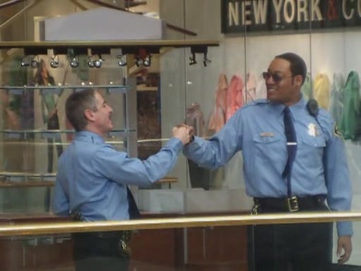 Фото - Рино 911: 512x384 / 41.64 Кб