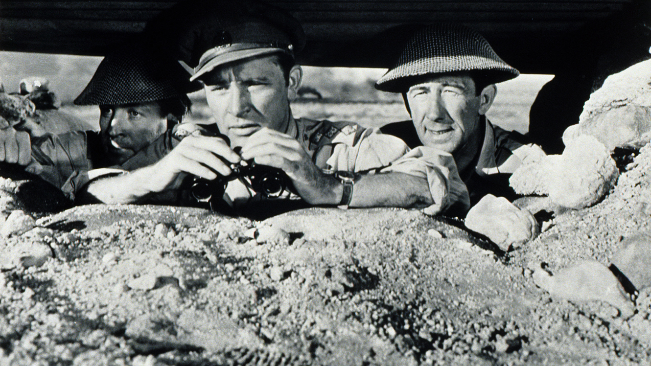 Фото - Песчаные крысы: 1330x748 / 1138.26 Кб