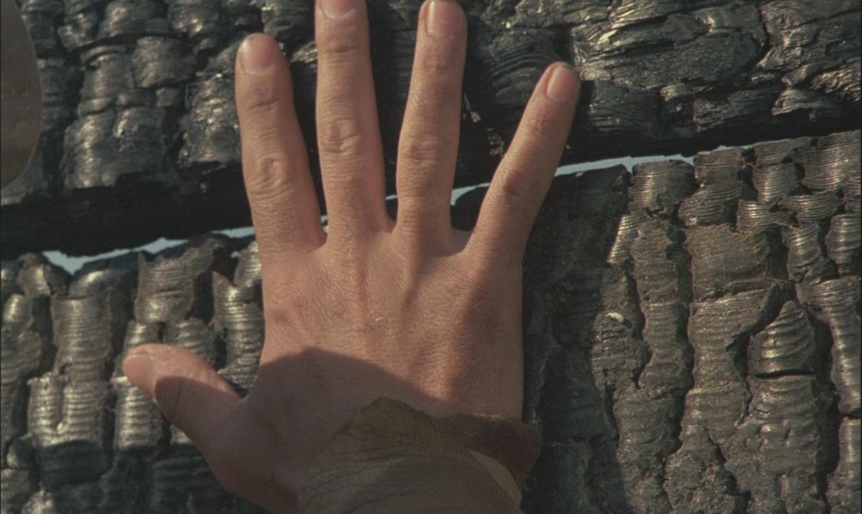 Фото - Человек с бульвара Капуцинов: 1208x720 / 94.93 Кб