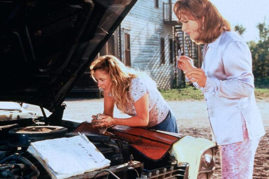 Фото - Вонг Фу, с благодарностью за все! Джули Ньюмар: 900x600 / 72.9 Кб