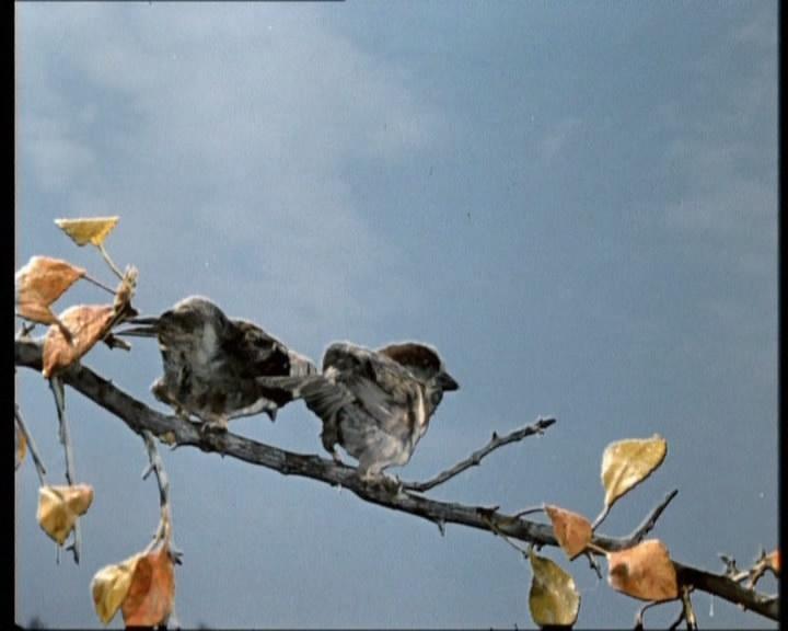 Фото - Сказка о потерянном времени: 720x576 / 32.5 Кб