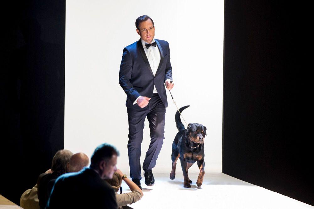 Фото - Псы под прикрытием: 1000x667 / 43.65 Кб