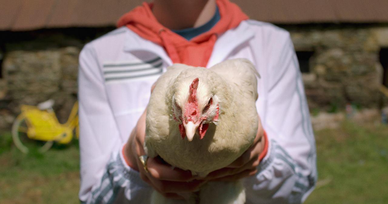 Фото - Хулиганье: 1280x675 / 68.31 Кб