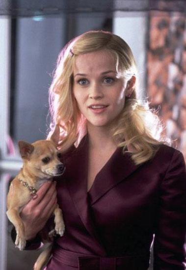 Фото - Блондинка в законе 2: Красное, белое и блондинка: 379x550 / 25.82 Кб