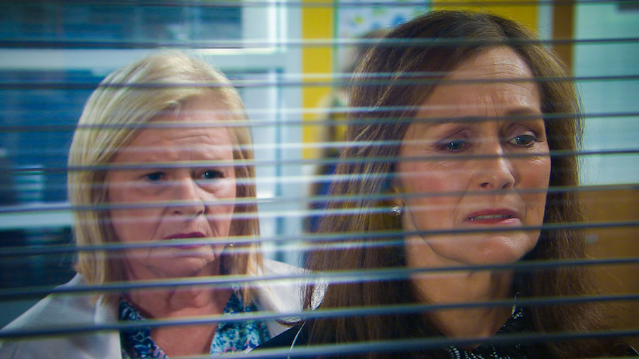 Фото - Соседи: 900x506 / 135.18 Кб