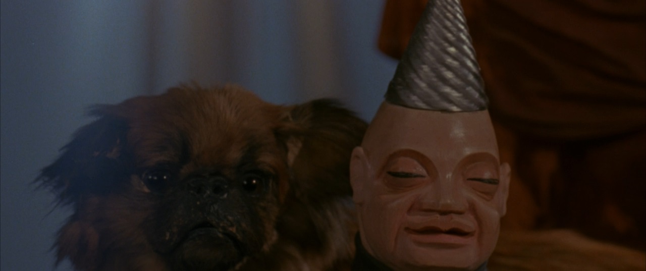 Фото - Повелитель кукол: 1280x537 / 87.21 Кб