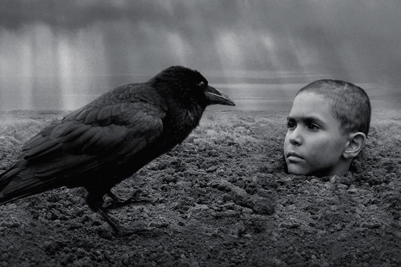 Фото - Раскрашенная птица: 780x520 / 66.37 Кб