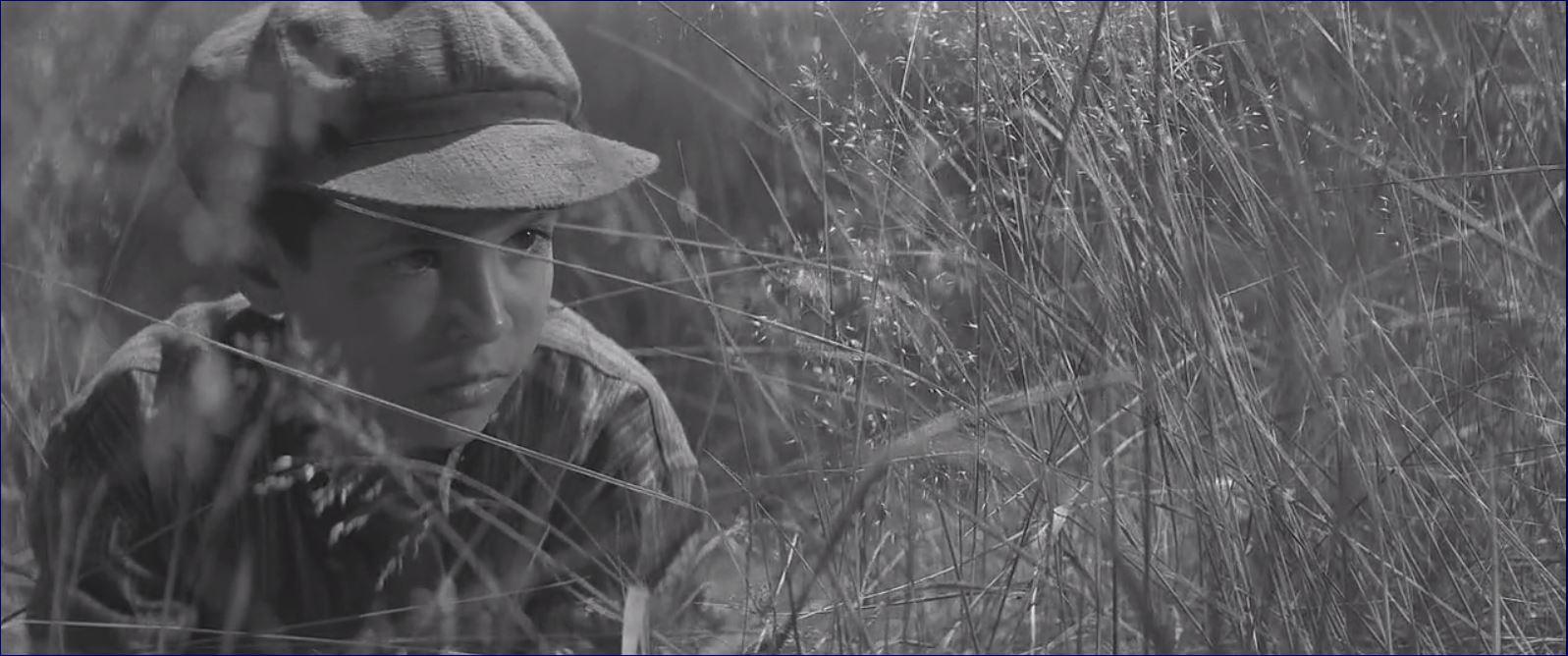 Фото - Раскрашенная птица: 1597x668 / 136.15 Кб