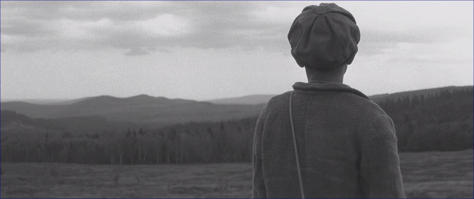 Фото - Раскрашенная птица: 1588x666 / 73.27 Кб