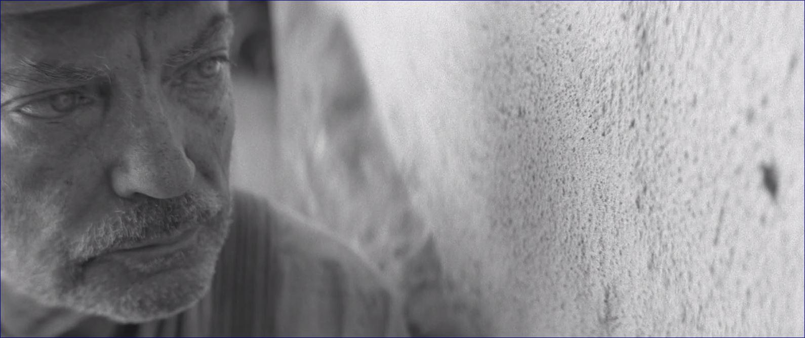 Фото - Раскрашенная птица: 1590x668 / 94.86 Кб