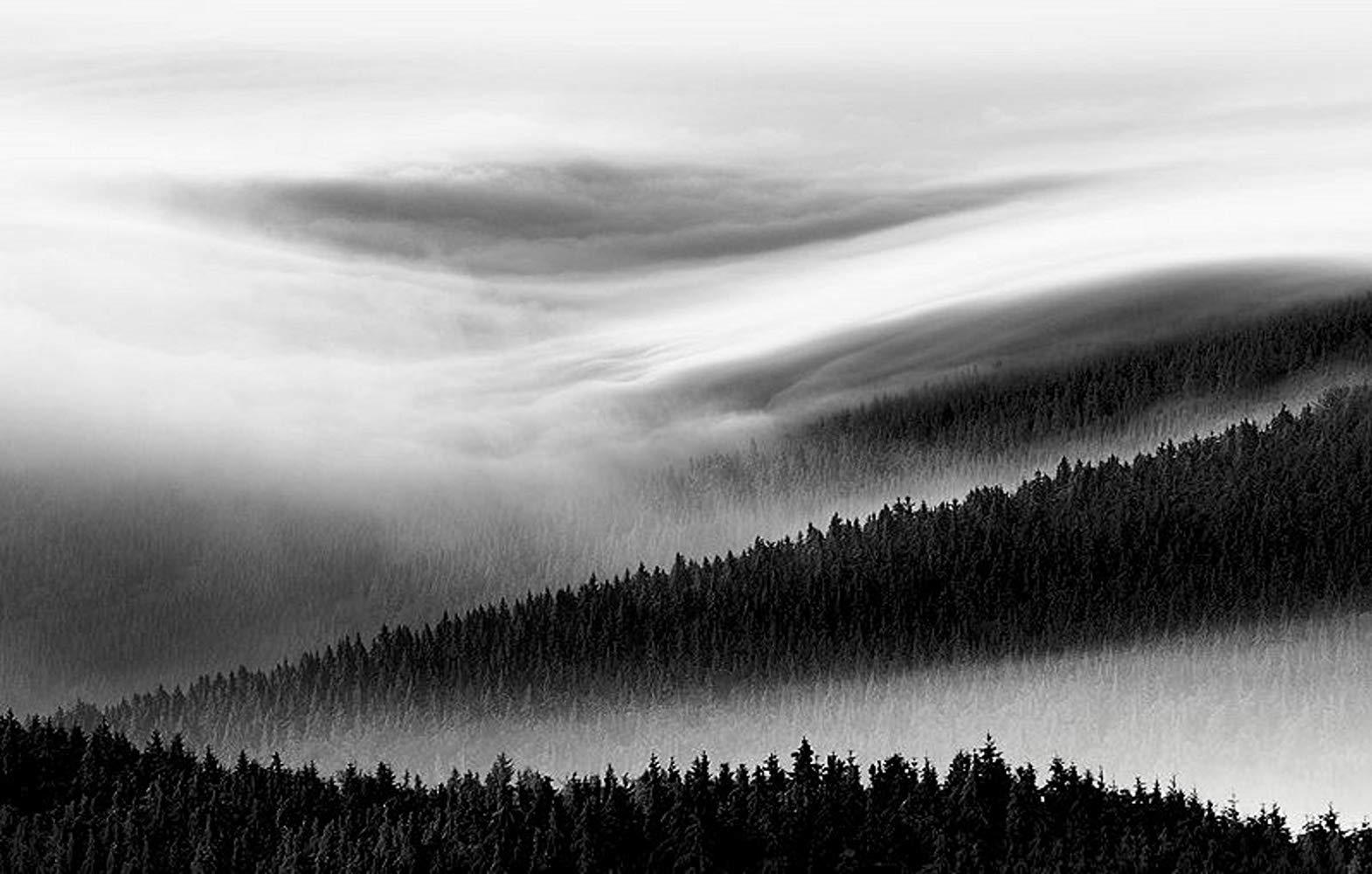 Фото - Раскрашенная птица: 1570x1000 / 141.99 Кб