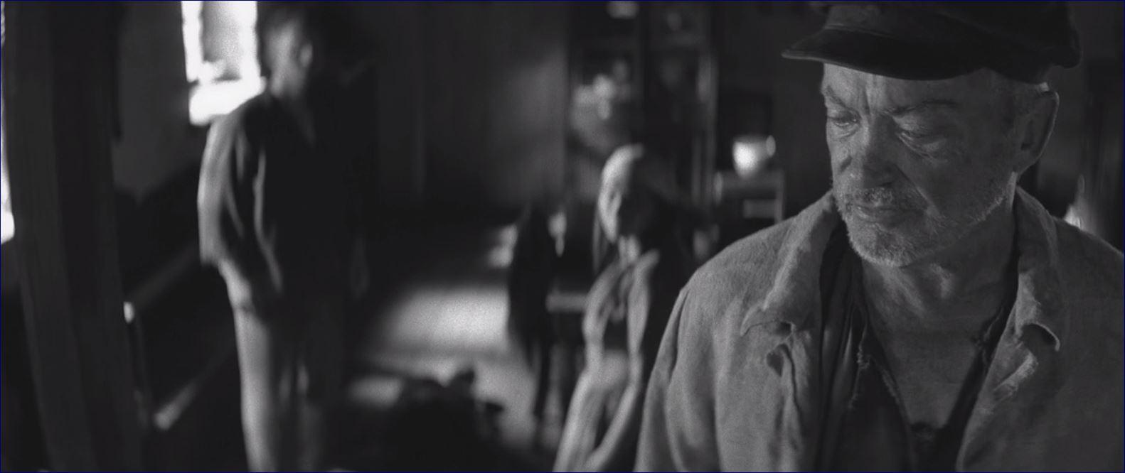 Фото - Раскрашенная птица: 1582x666 / 61.18 Кб