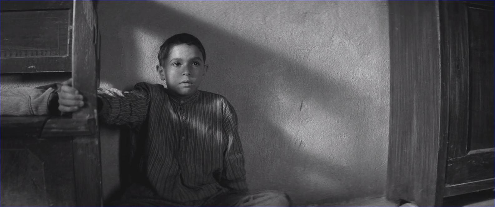 Фото - Раскрашенная птица: 1586x665 / 88.81 Кб