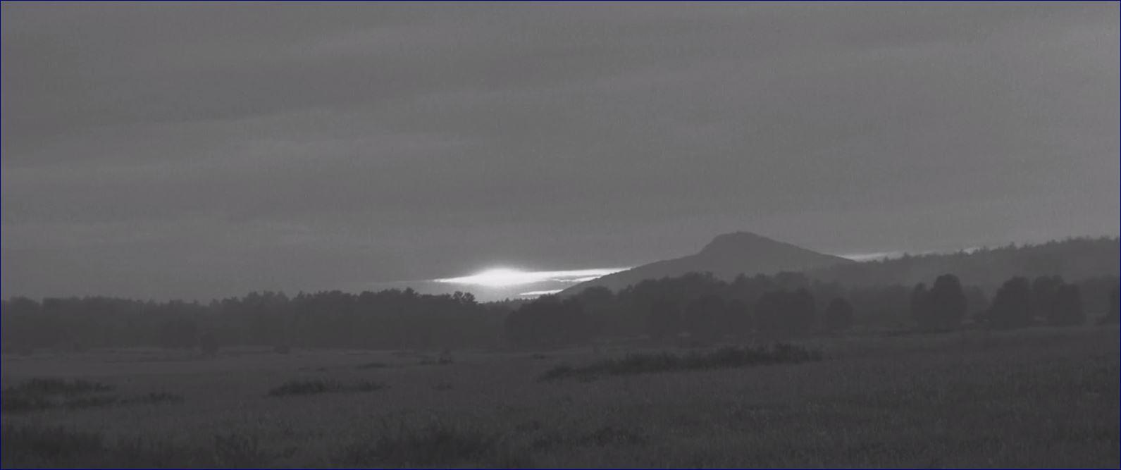 Фото - Раскрашенная птица: 1591x667 / 36.59 Кб