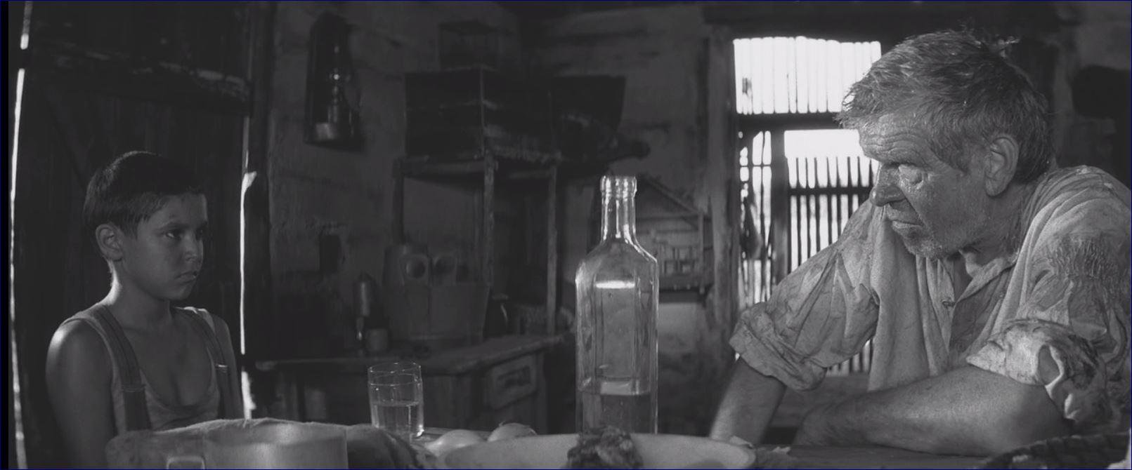 Фото - Раскрашенная птица: 1611x670 / 85.75 Кб