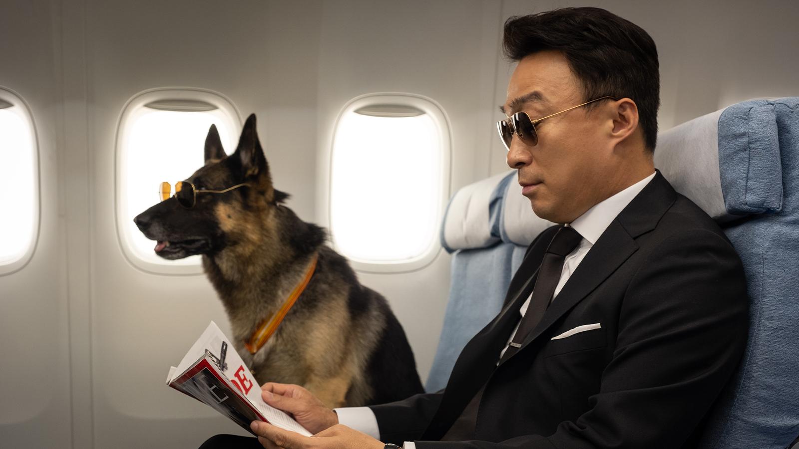 Фото - Спасти панду: 1600x900 / 107.55 Кб