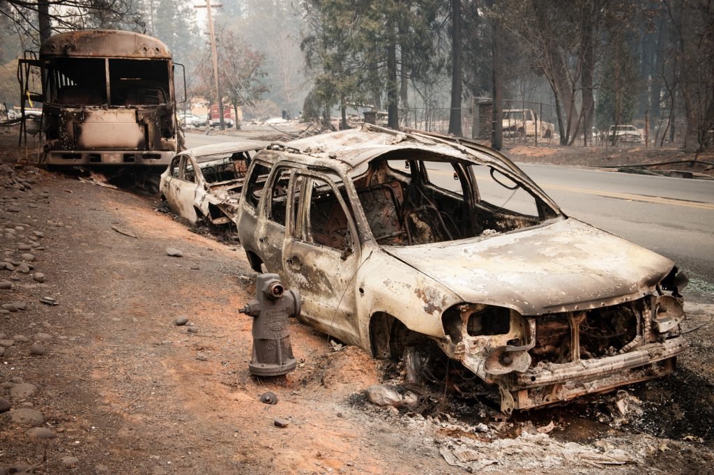 Фото - Paradise: One Town's Struggle to Survive an American Wildfire: 1024x681 / 190.31 Кб