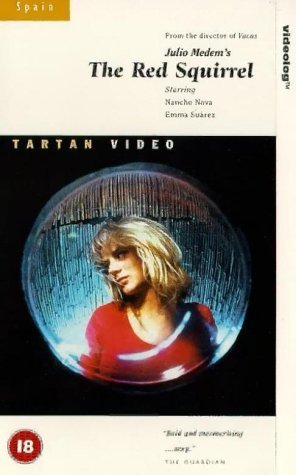 Фото - Рыжая белка: 296x475 / 27 Кб