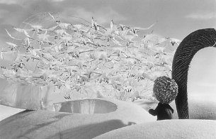 Фото - Джеймс и гигантский персик: 305x196 / 17 Кб