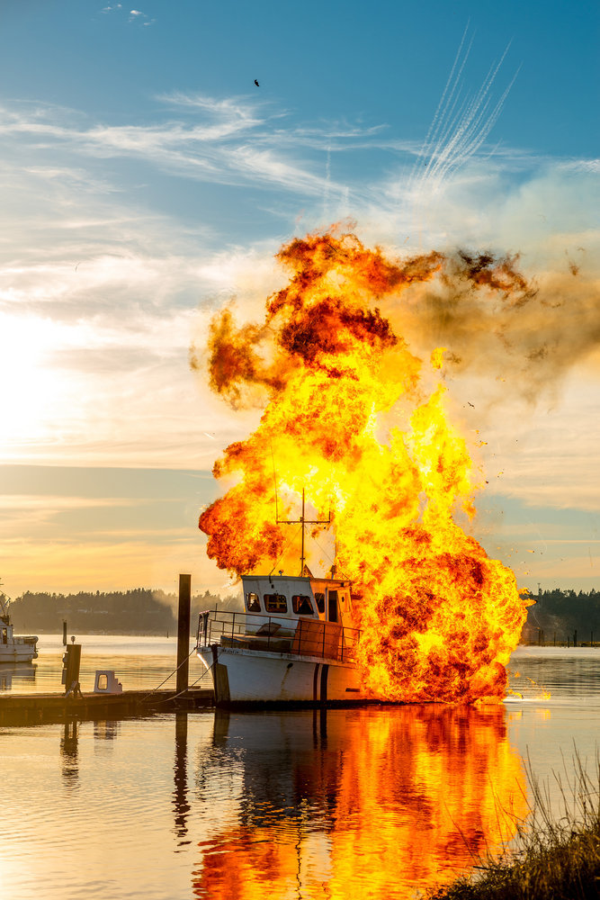 Фото - Нация Z: 667x1000 / 227 Кб