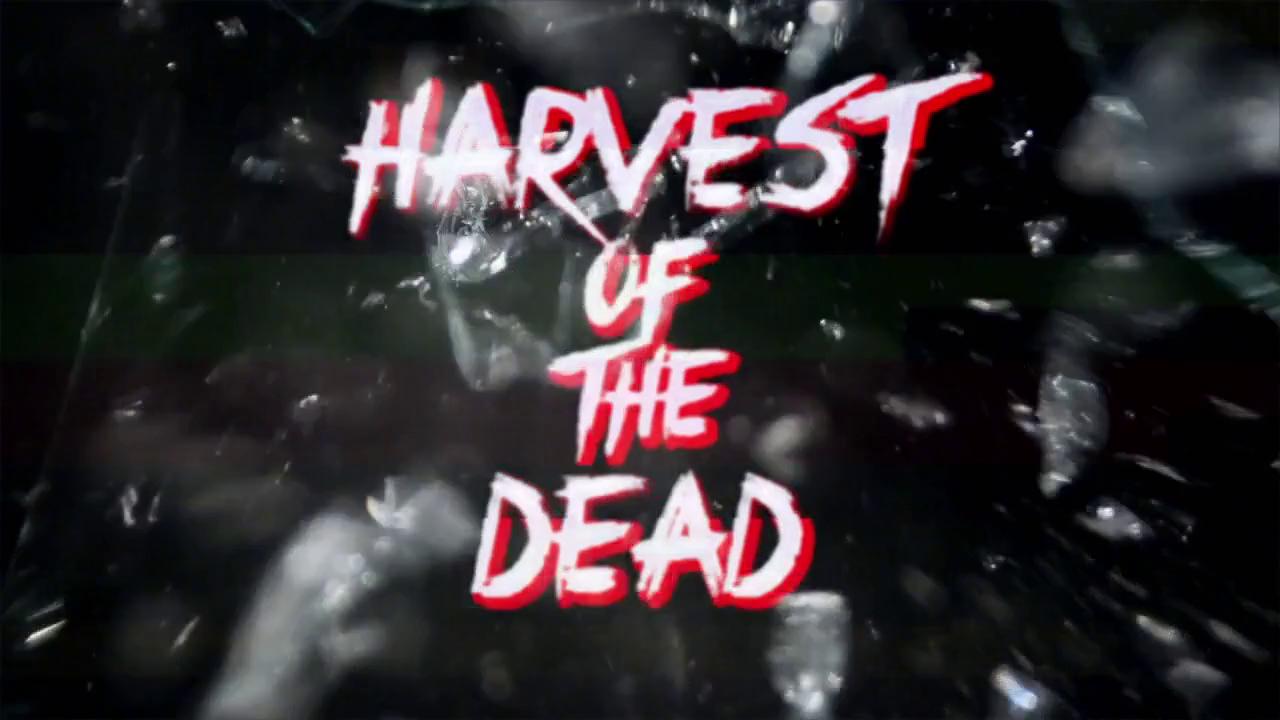 Фото - : 1280x720 / 61 Кб