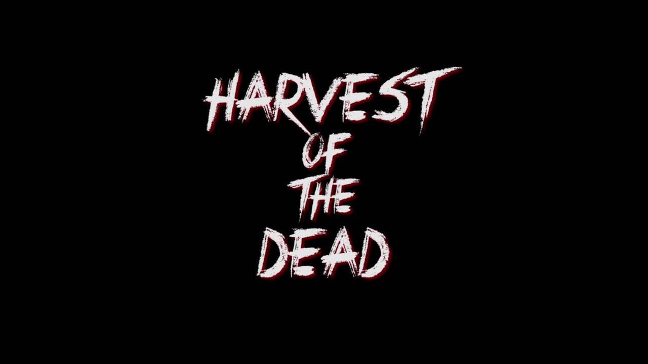 Фото - : 1280x720 / 27 Кб