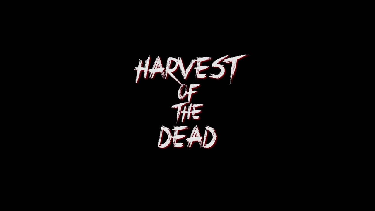 Фото - : 1280x720 / 20 Кб