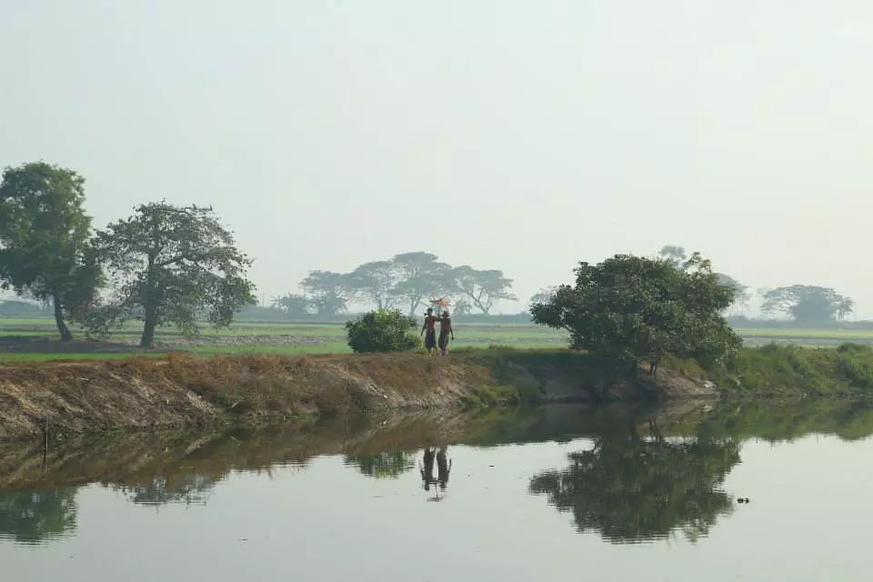 Фото - : 960x640 / 103 Кб