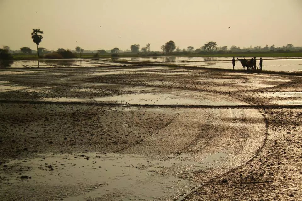 Фото - : 960x640 / 223 Кб