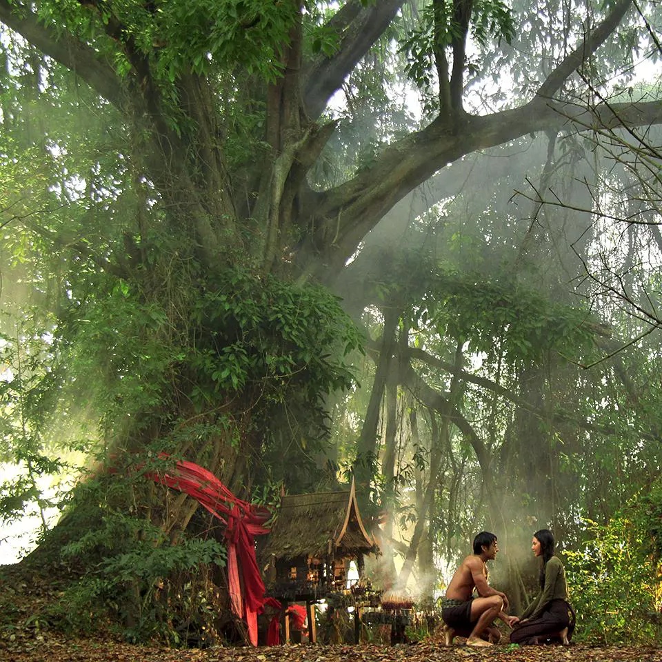 Фото - : 960x960 / 444 Кб