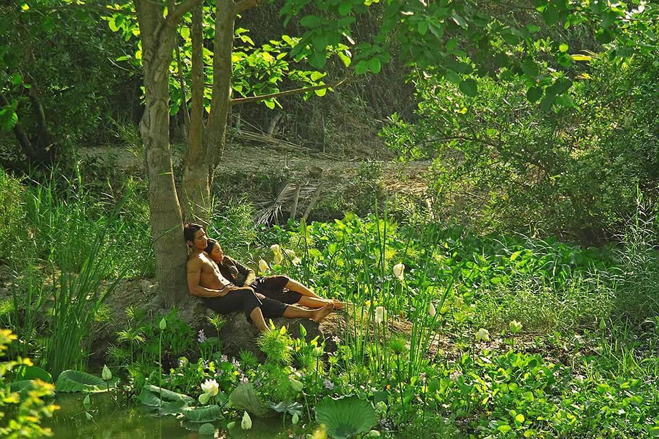 Фото - : 960x640 / 395 Кб