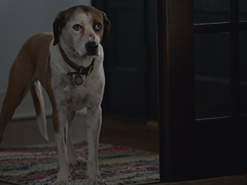 Фото - : 500x375 / 19 Кб