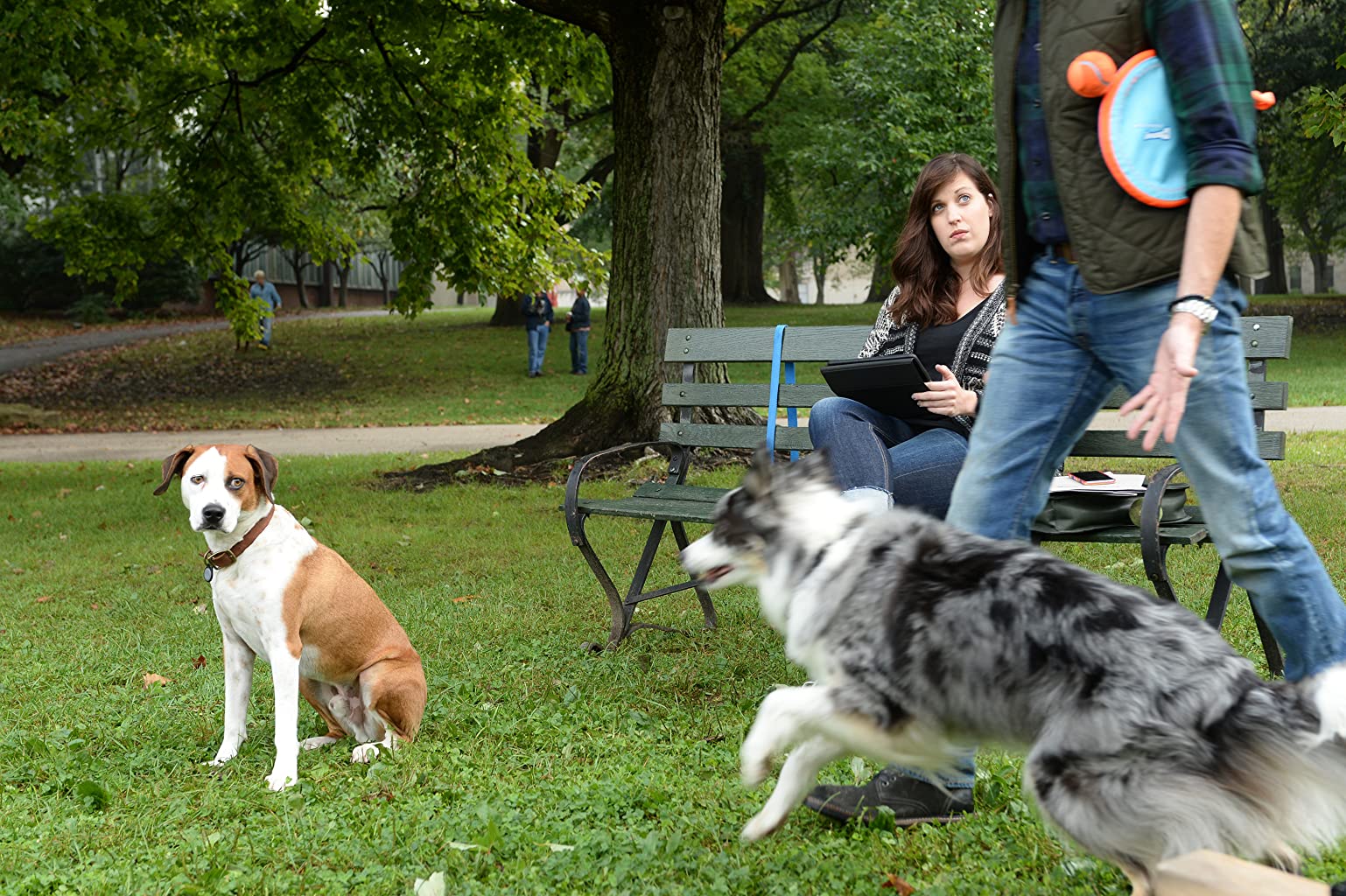 Фото - : 1538x1024 / 307 Кб
