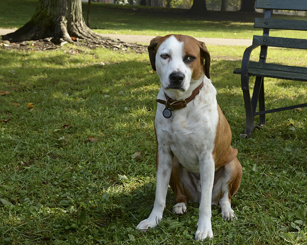 Фото - : 1280x1024 / 222 Кб