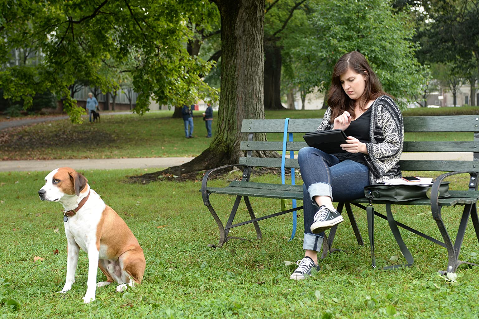 Фото - : 1538x1024 / 349 Кб