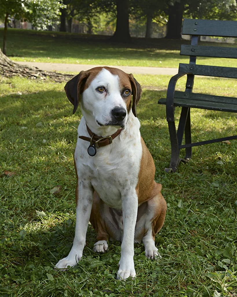 Фото - : 819x1024 / 152 Кб