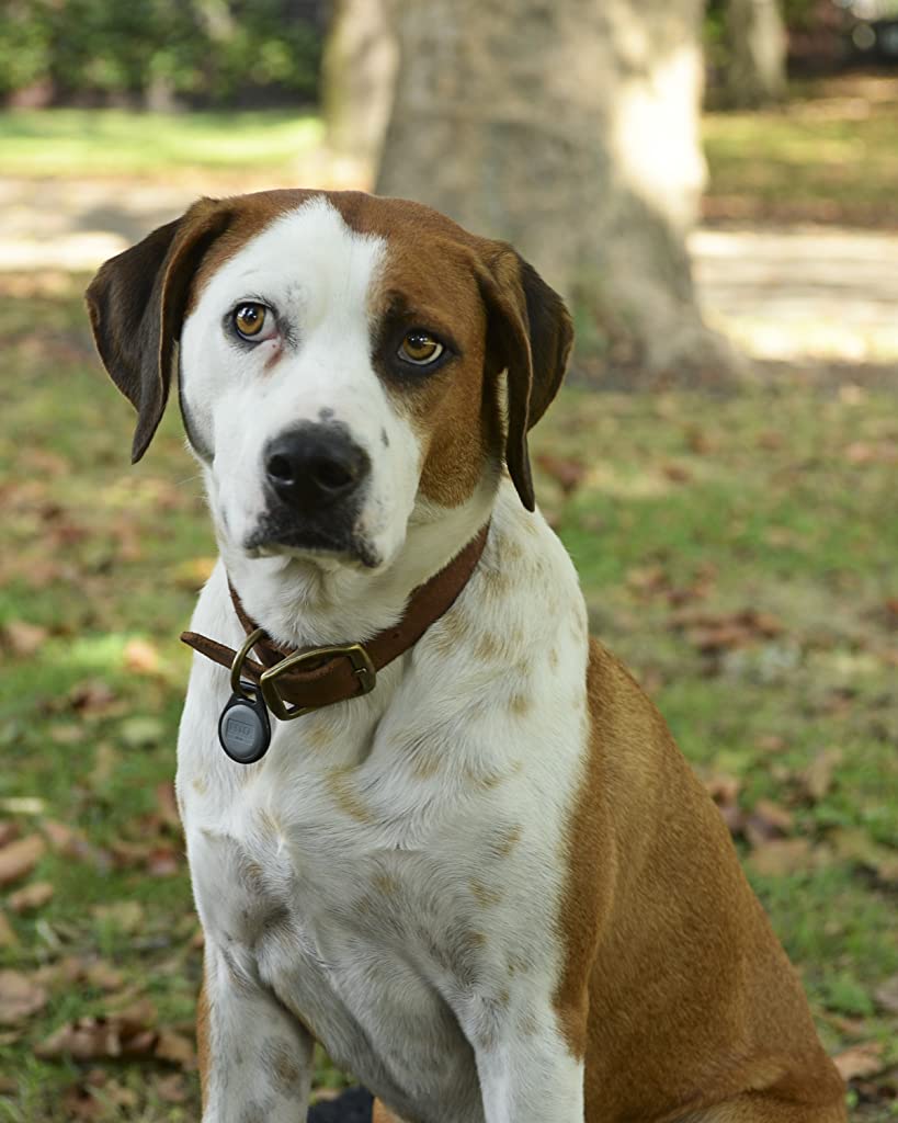 Фото - : 819x1024 / 78 Кб