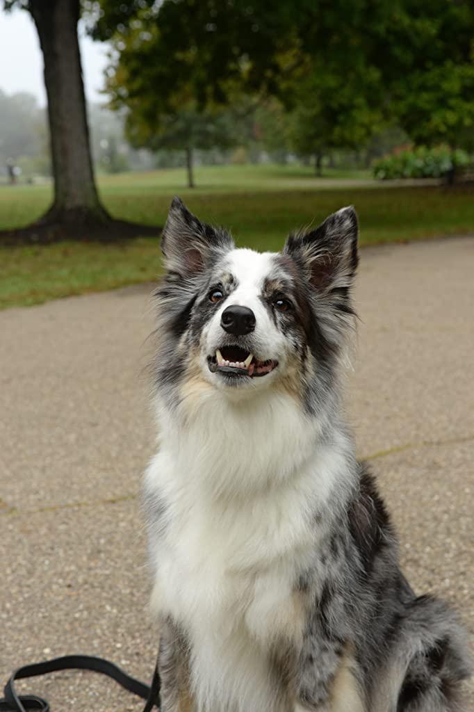 Фото - : 682x1024 / 61 Кб