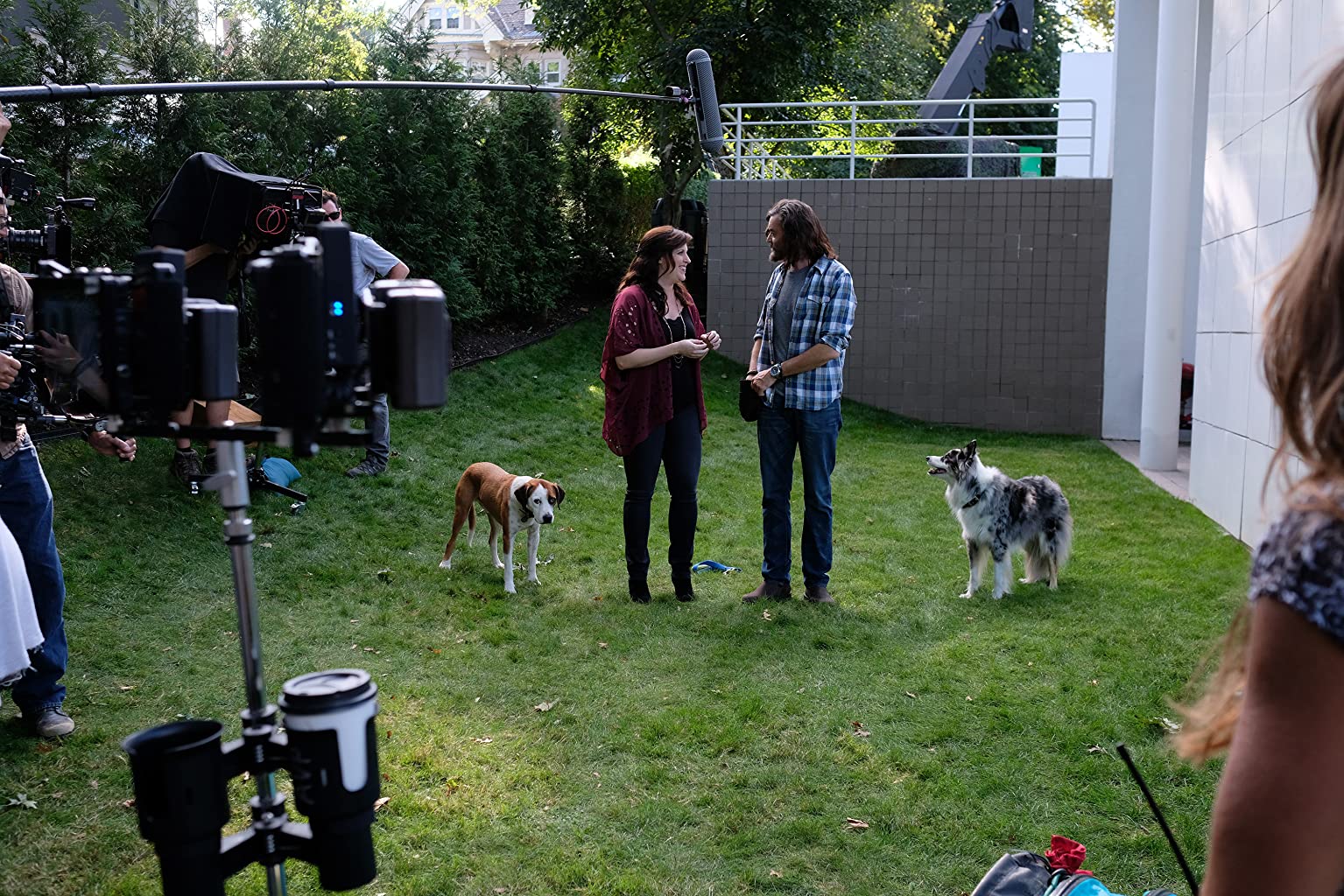 Фото - : 1535x1024 / 353 Кб