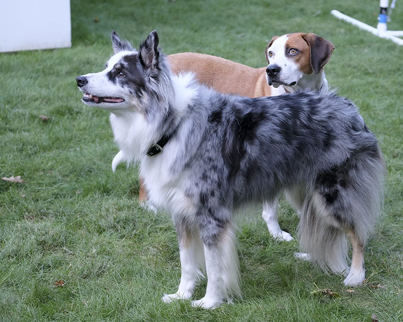 Фото - : 1280x1024 / 224 Кб