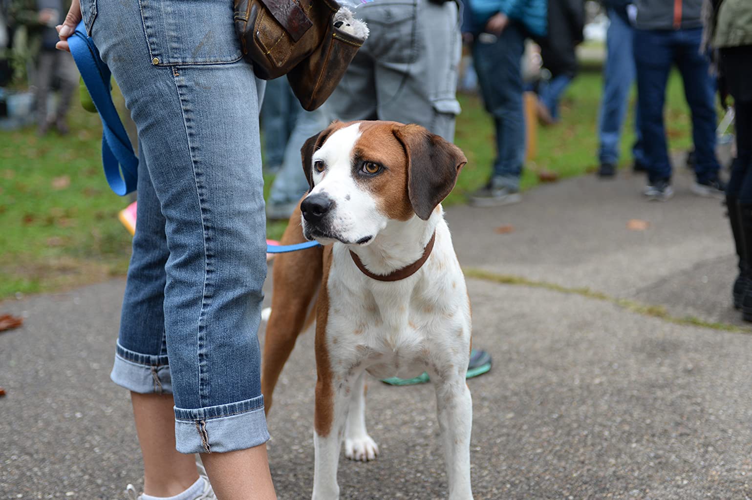 Фото - : 1539x1024 / 173 Кб