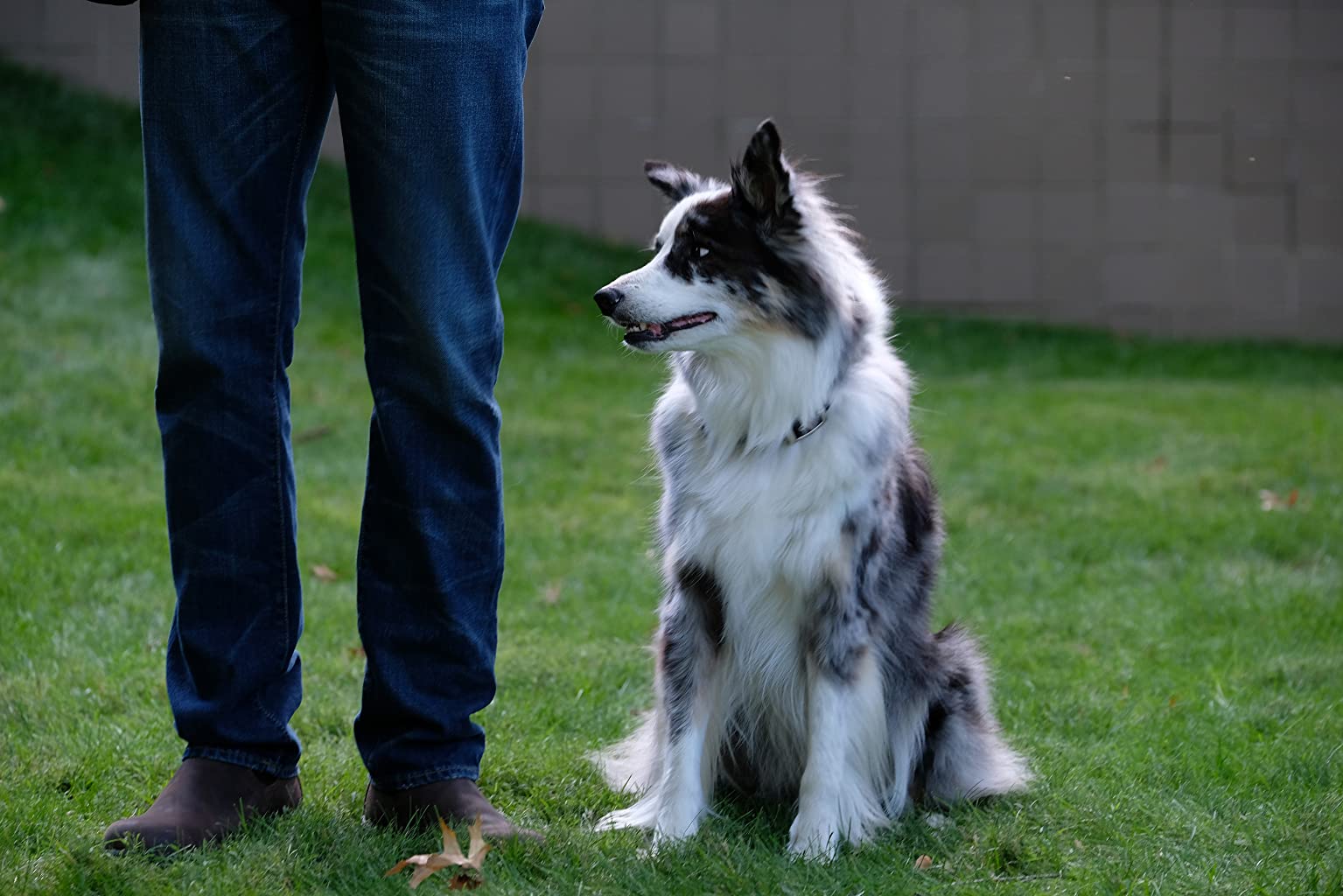 Фото - : 1535x1024 / 139 Кб