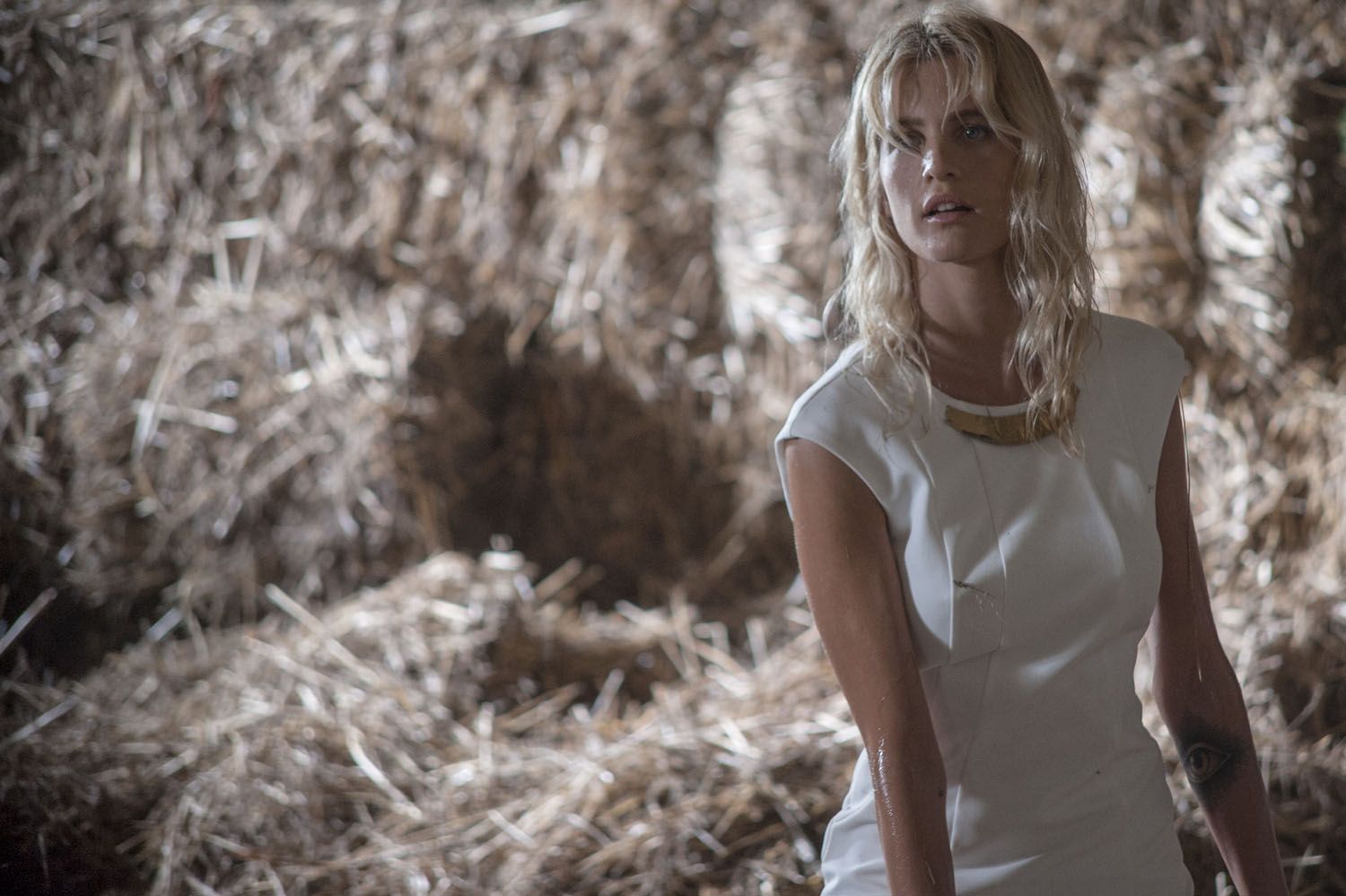 Фото - : 1500x999 / 157 Кб