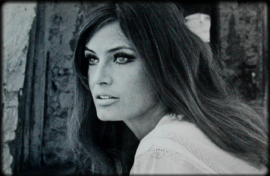 Фото - : 1028x673 / 353 Кб