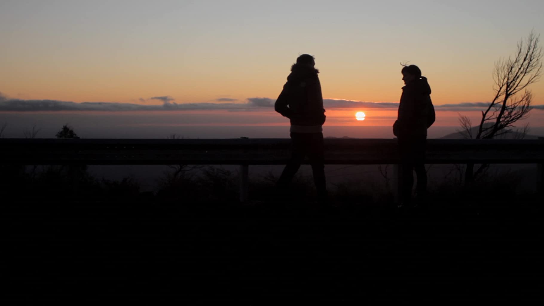 Фото - : 1820x1024 / 35 Кб