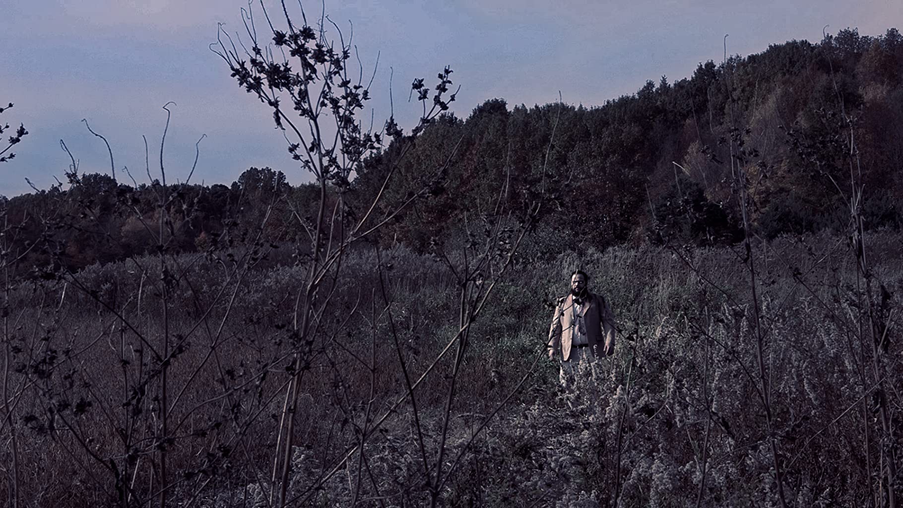 Фото - : 1820x1024 / 284 Кб