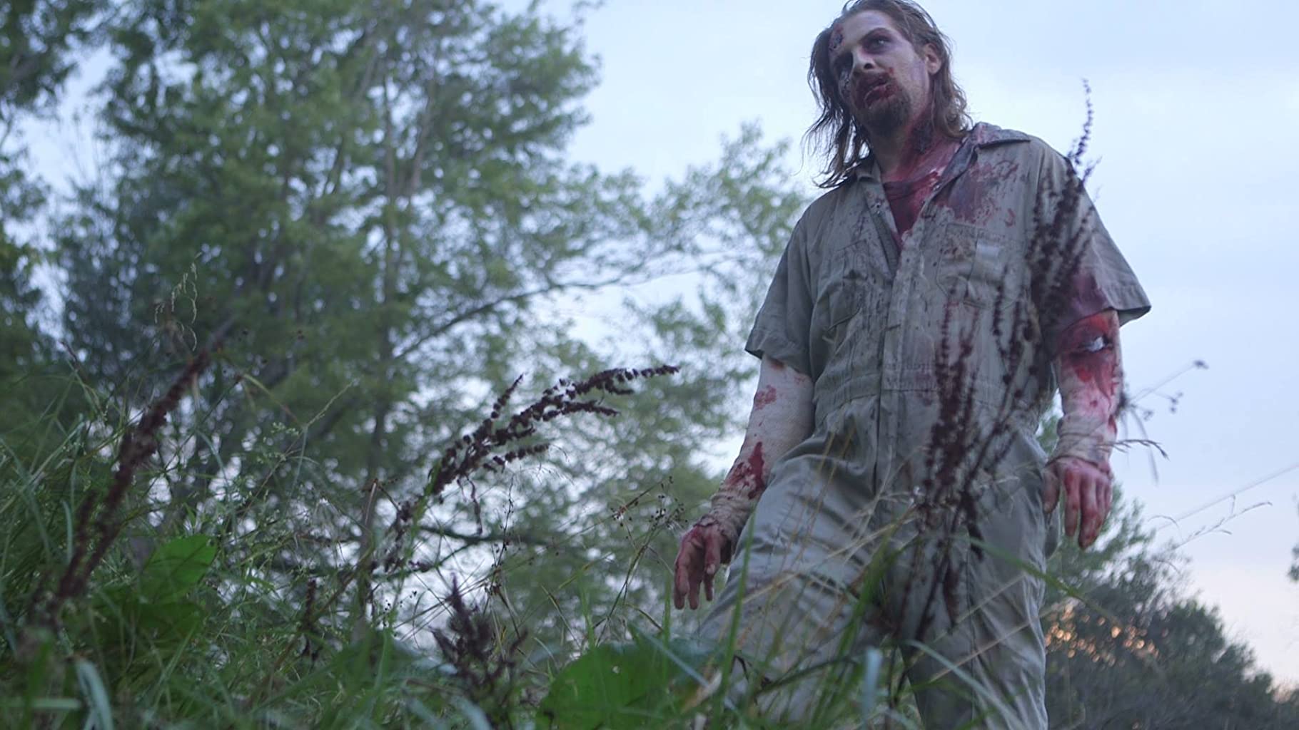 Фото - : 1820x1024 / 166 Кб